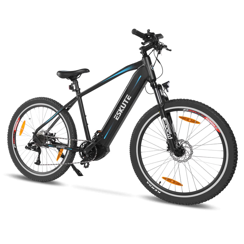 Bicicletta elettrica con motore centrale - STAR – ELECTRI
